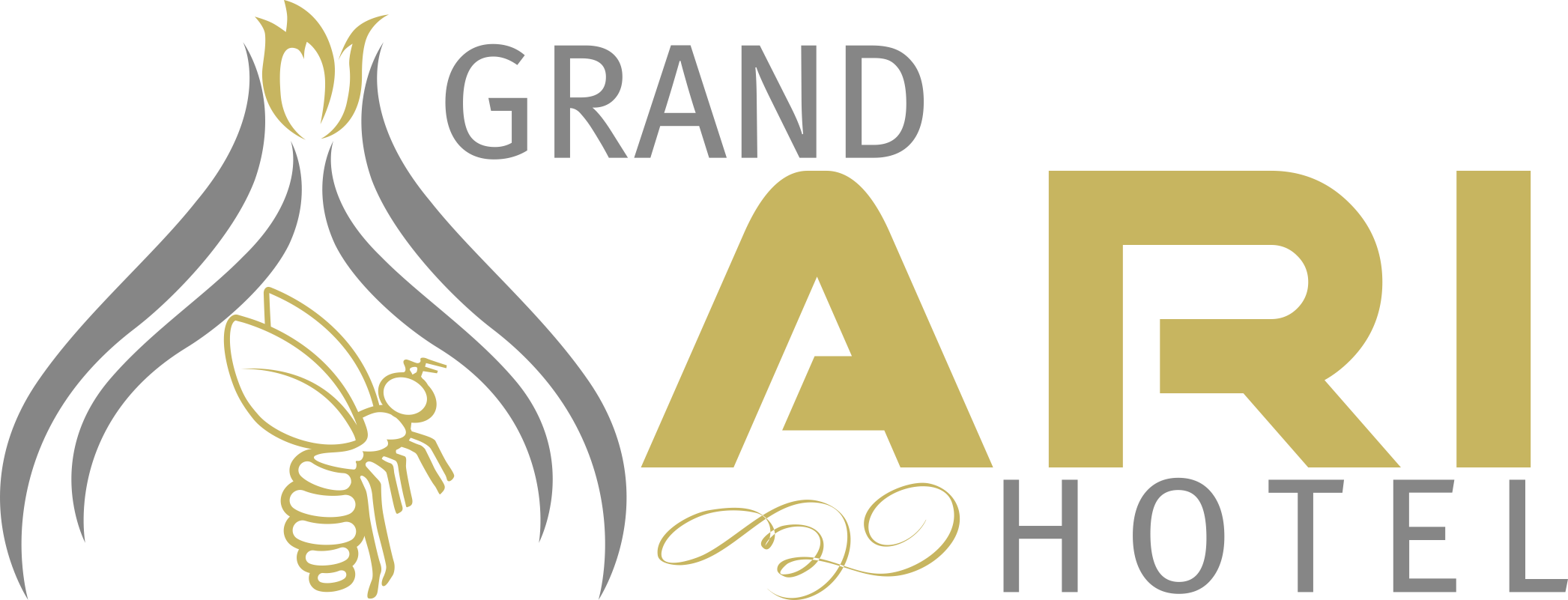 Grand Arı Hotel Afyonkarahisar
